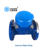 Removable Element Woltmann Type Water Meter